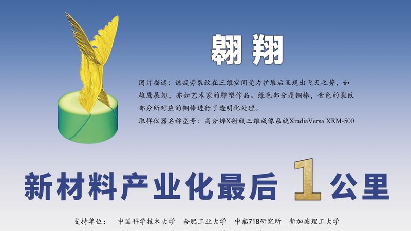 瓷砖胶粘剂选型攻略：揭秘如何挑选合适的型号规格