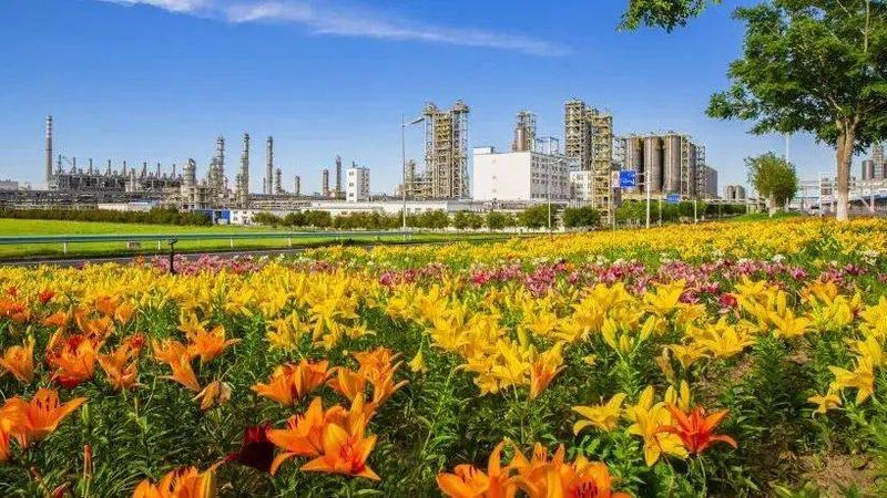 精细化工产品配方咨询：揭秘配方研发背后的科学