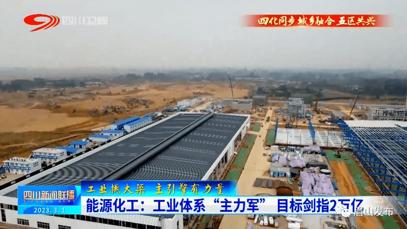 揭秘表面活性剂：十大品牌优缺点深度解析